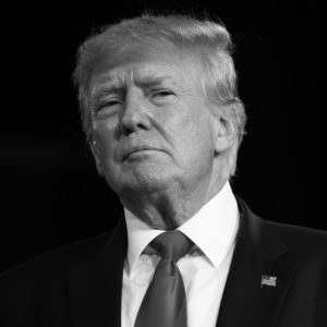 Trump's dumb face in black and white looking smug as usual

In Spanish: La cara de estúpido de Trump en blanco y negro con la expresión arrogante que tiene habitualmente